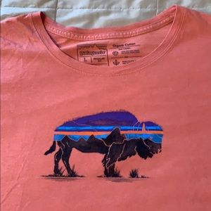 Patagonia Tee